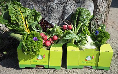 Weiter zu Gemüseabonnement