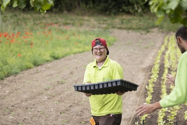 Weiter zu Gärtnerei