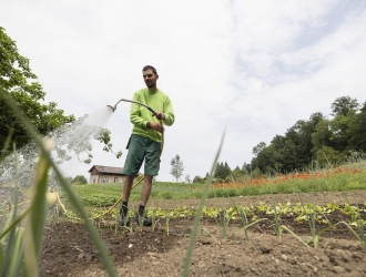 Mann mit Wasserschlauch bewässert Garten