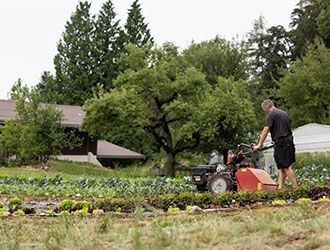 Mann mit Helm und Laubbläser steht vor einem Baum.